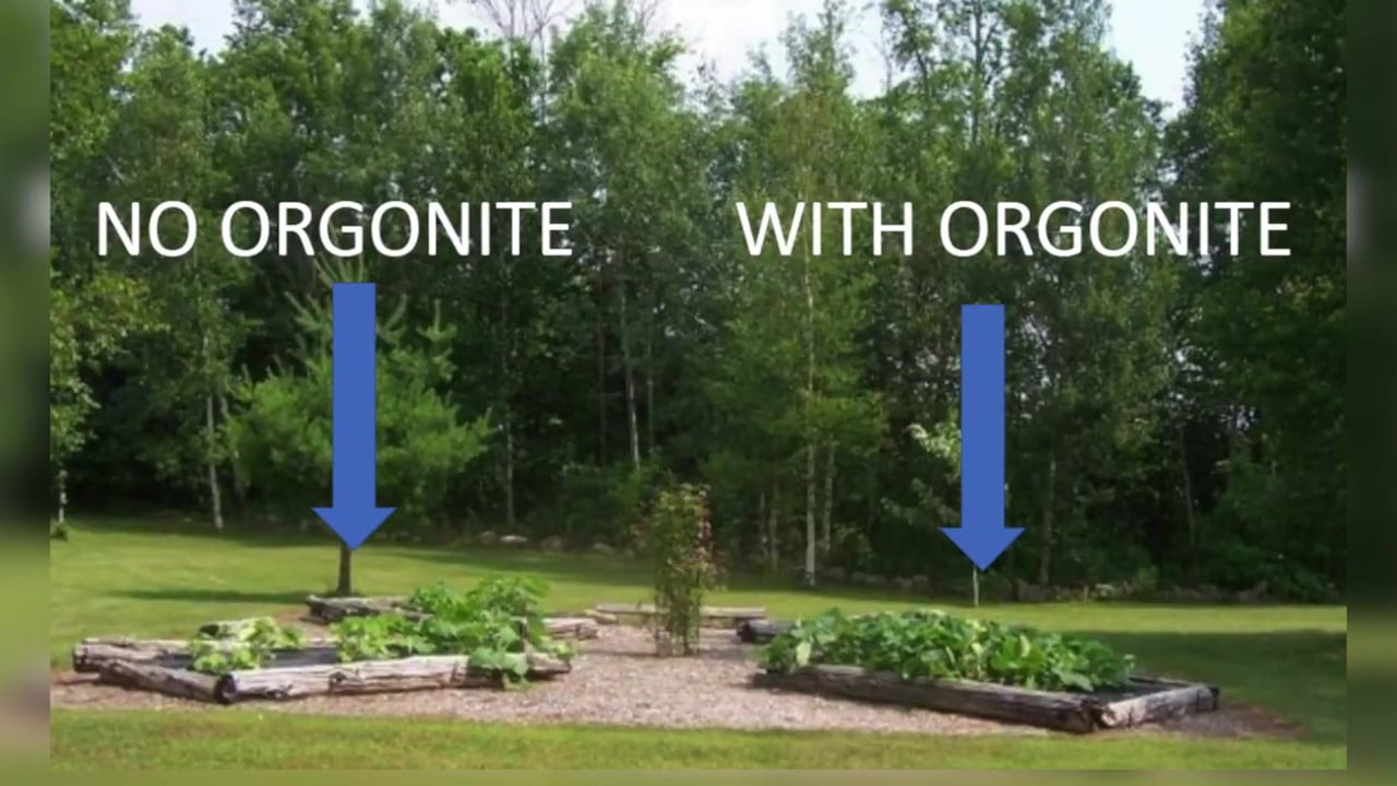 Accelerated Plant Growth